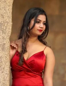 call girl service in Alipur